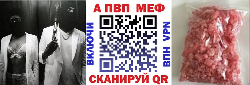 Альфа ПВП СК КРИС  закладка  Курлово 